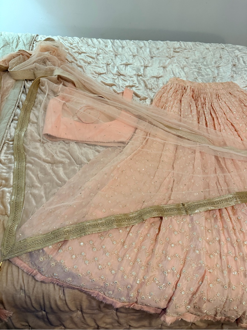 Blush Pink Embellished Lehenga Set size 0 - Picture 5 of 16